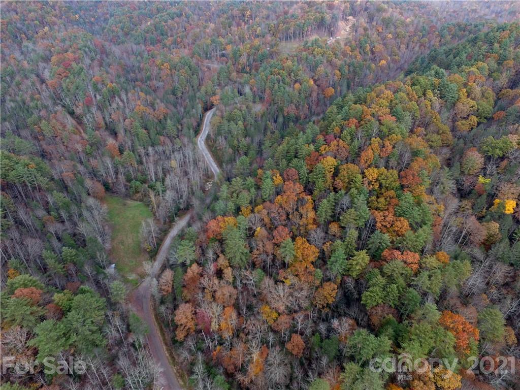300 Arrowhead Road Ferguson, NC 28624 - Photo 24 of 48 a view of a forest with a tree