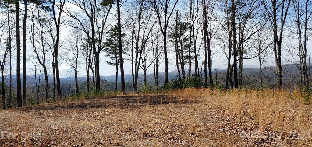 300 Arrowhead Road Ferguson, NC 28624 - Photo 28 of 48 a view of backyard with green space