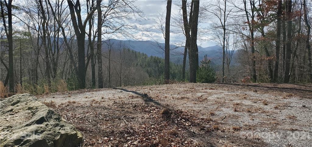 300 Arrowhead Road Ferguson, NC 28624 - Photo 32 of 48 a wooden fence covered with tall trees