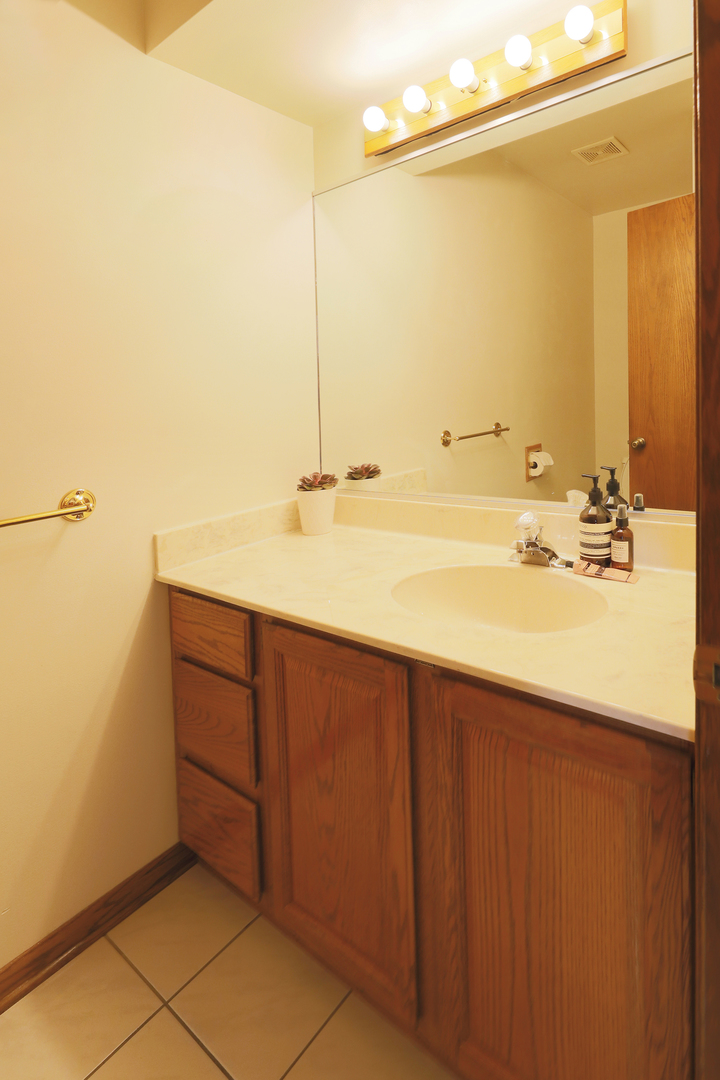 1975 Brookside Lane Hoffman Estates, IL 60169 - Photo 11 of 32 a bathroom with a sink and a mirror
