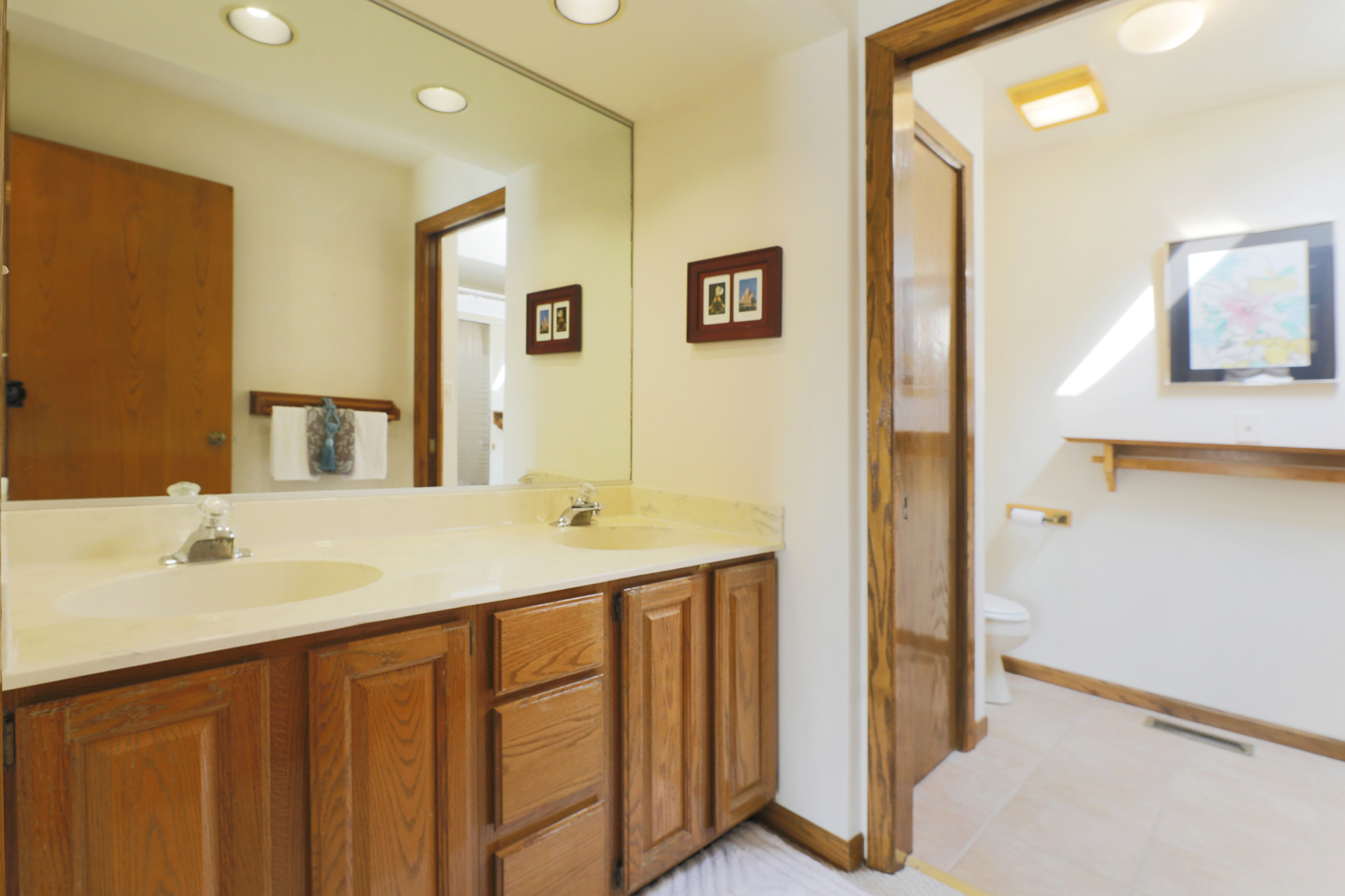 1975 Brookside Lane Hoffman Estates, IL 60169 - Photo 20 of 32 a bathroom with a sink and a mirror