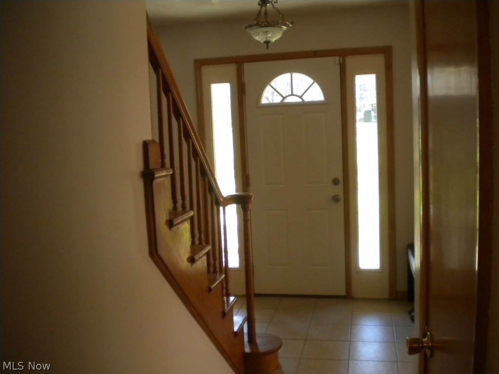 Foyer/ side lights front door