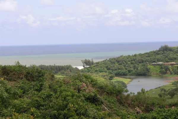 Kiluea Lighthouse Road Kilauea, HI 96754 - Photo 1 of 12 Gallery Image 1