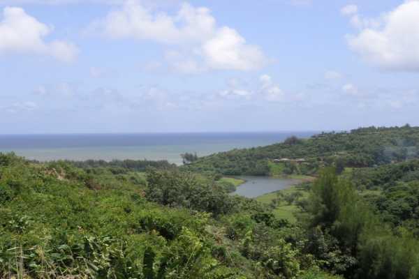 Kiluea Lighthouse Road Kilauea, HI 96754 - Photo 12 of 12 Gallery Image 12