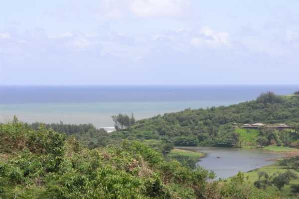Kiluea Lighthouse Road Kilauea, HI 96754 - Photo 4 of 12 Gallery Image 4