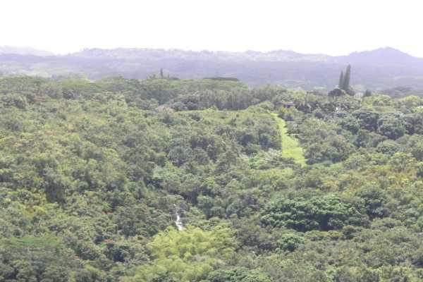 Kiluea Lighthouse Road Kilauea, HI 96754 - Photo 6 of 12 Gallery Image 6