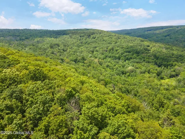 $319,000 | 255 Lassen Road, Broome, NY 12122