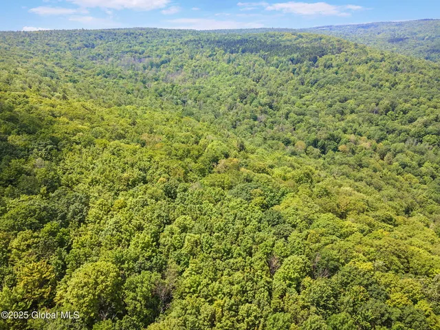 $319,000 | 255 Lassen Road, Broome, NY 12122