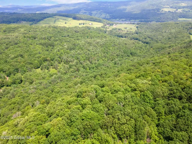 $319,000 | 255 Lassen Road, Broome, NY 12122