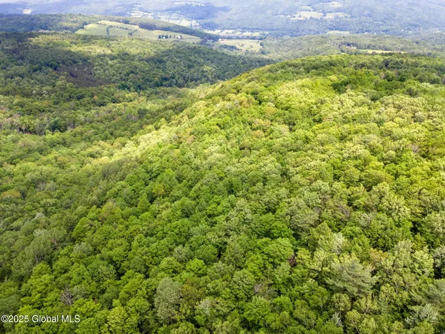 $319,000 | 255 Lassen Road, Broome, NY 12122