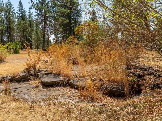16115 Cheney Spokane Road Cheney, WA 99004 - Photo 33 of 40