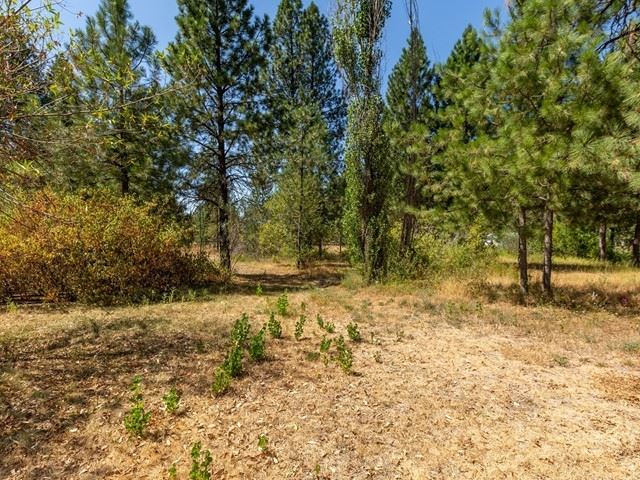 16115 Cheney Spokane Road Cheney, WA 99004 - Photo 35 of 40