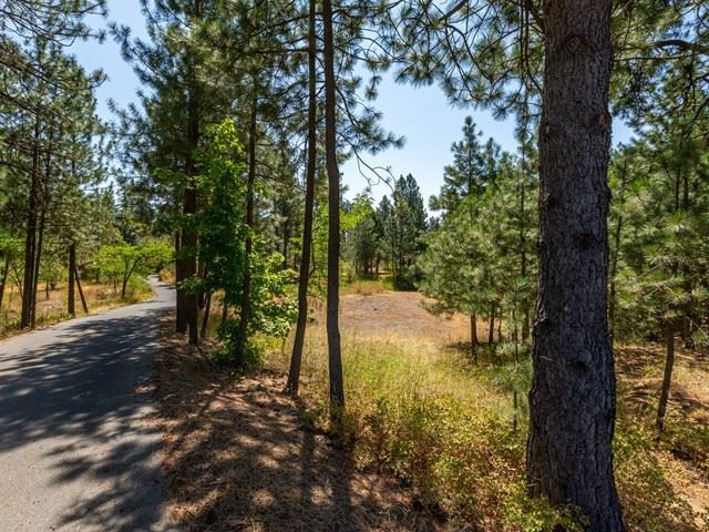 16115 Cheney Spokane Road Cheney, WA 99004 - Photo 37 of 40