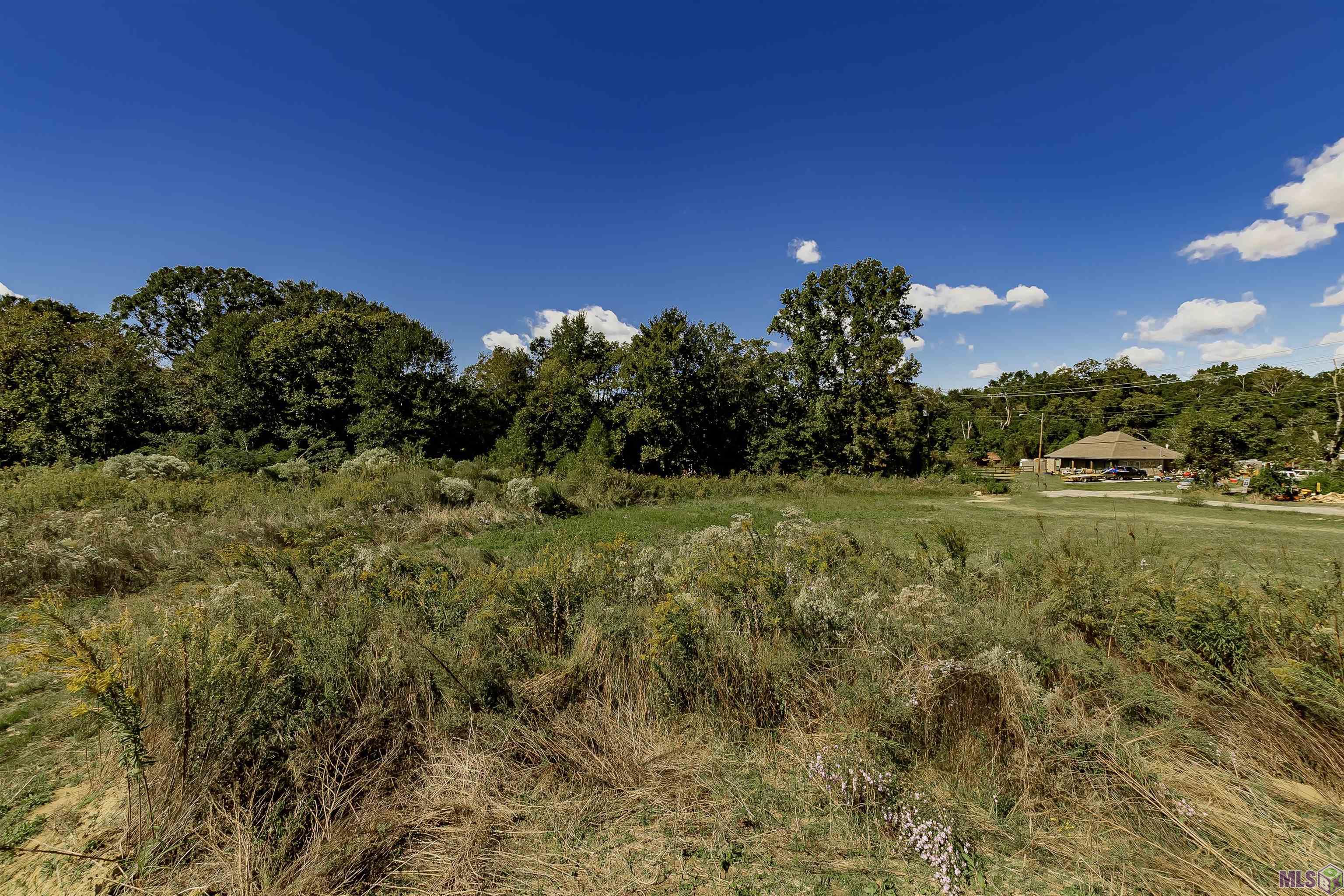 2452 Gore Road Baton Rouge, LA 70807 - Photo 2 of 8