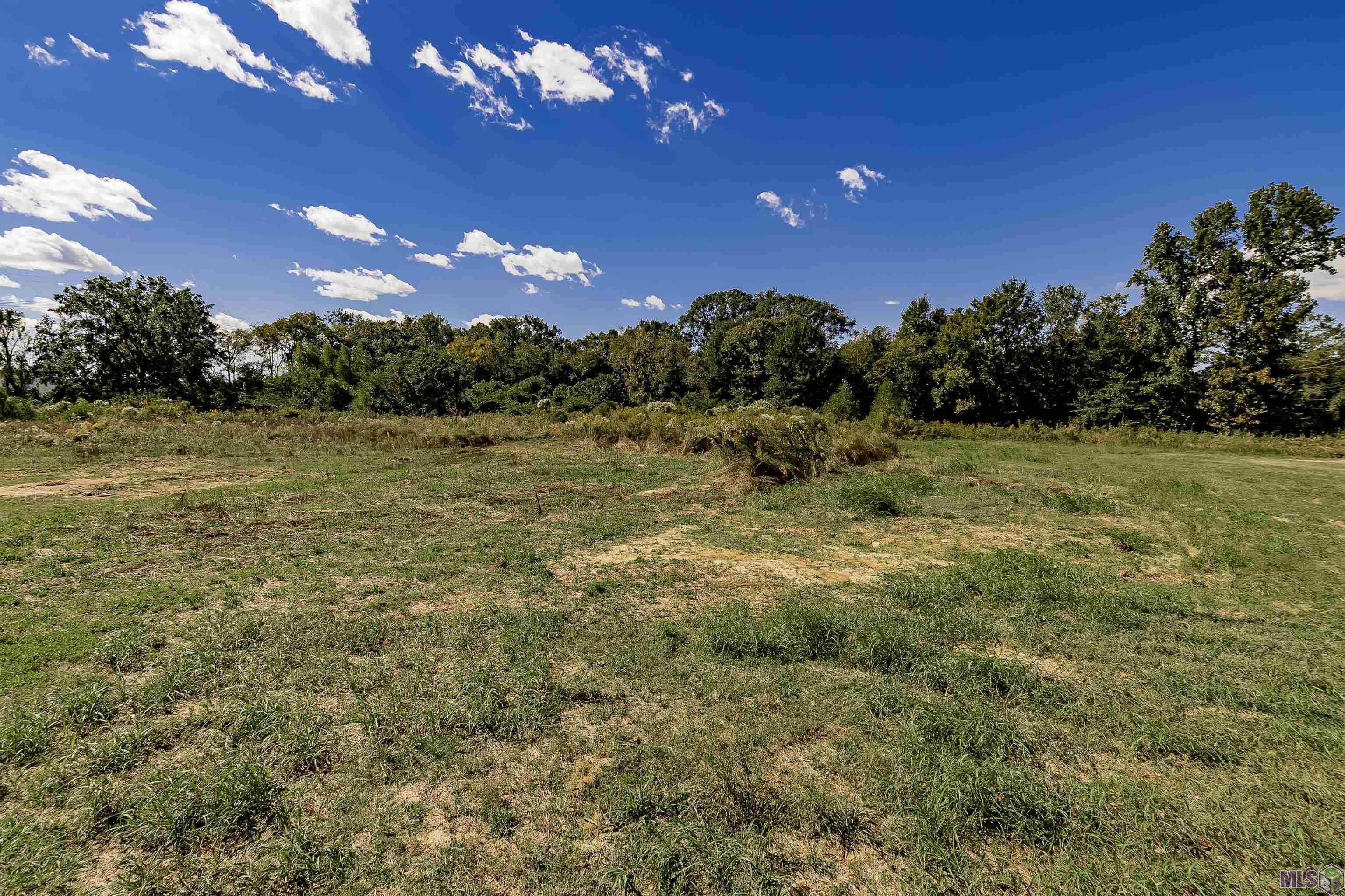 2452 Gore Road Baton Rouge, LA 70807 - Photo 6 of 8