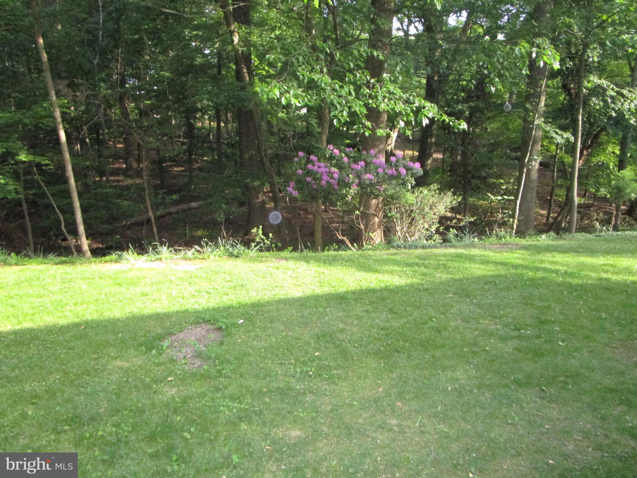 1109 Ruppert Road Silver Spring, MD 20903 - Photo 22 of 31