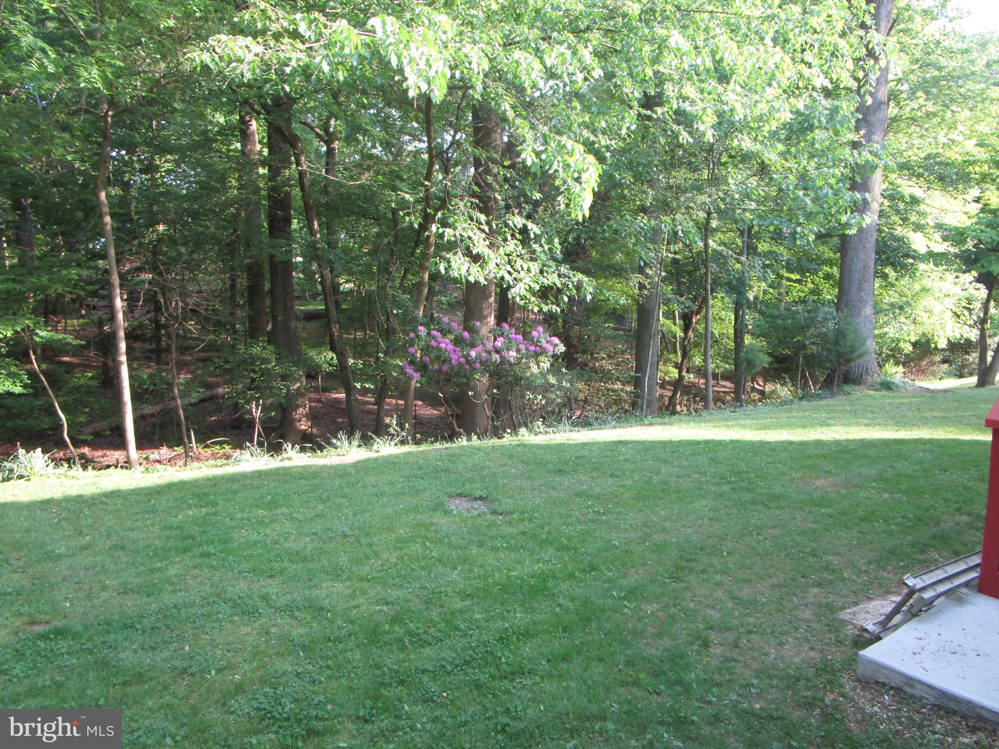 1109 Ruppert Road Silver Spring, MD 20903 - Photo 28 of 31