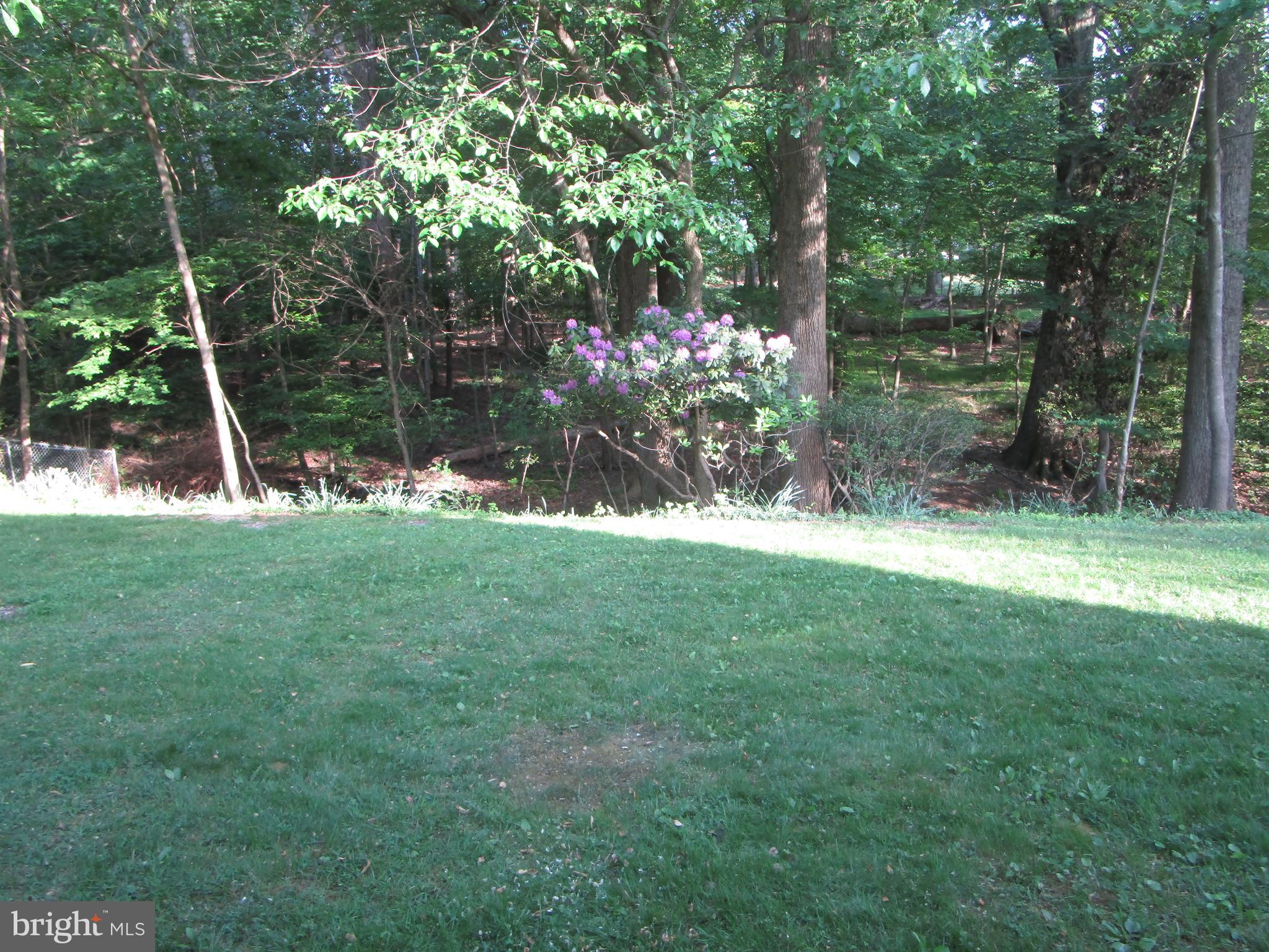 1109 Ruppert Road Silver Spring, MD 20903 - Photo 29 of 31