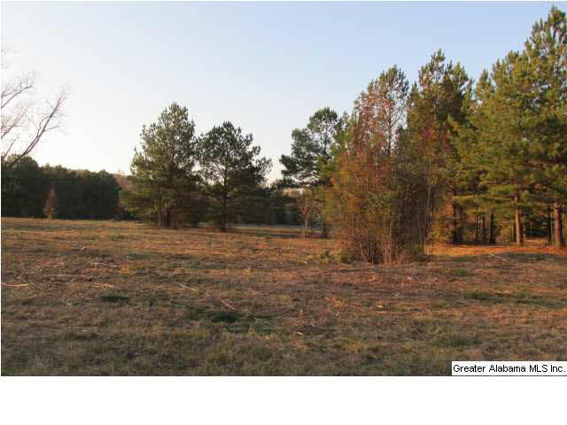 392 4 Mile Church Road, Unit 40 AC Anniston, AL 36206 - Photo 2 of 12