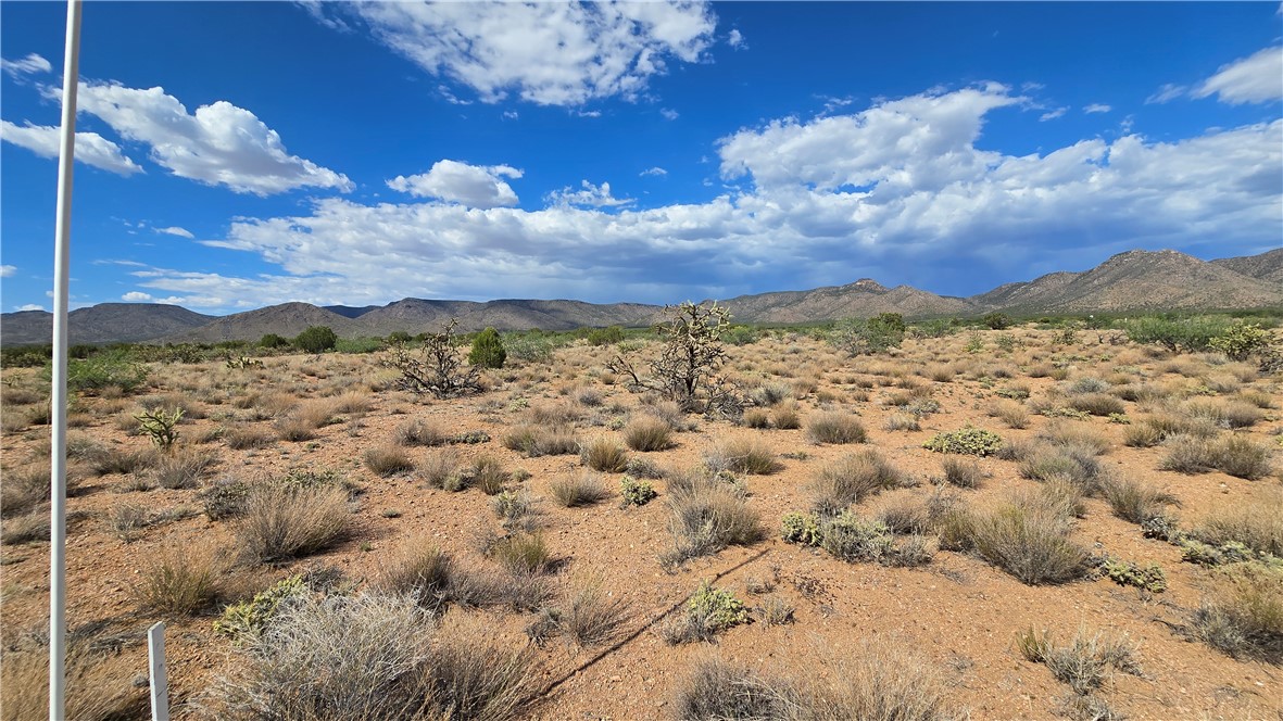 353-36-158 North Tyree Road Hackberry, AZ 86411 - Photo 8 of 19