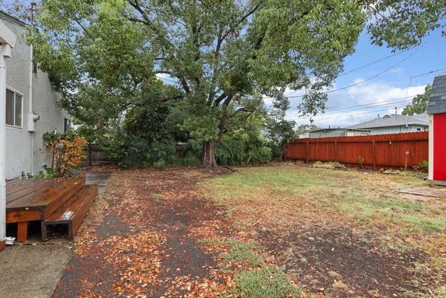 a view of road with large trees