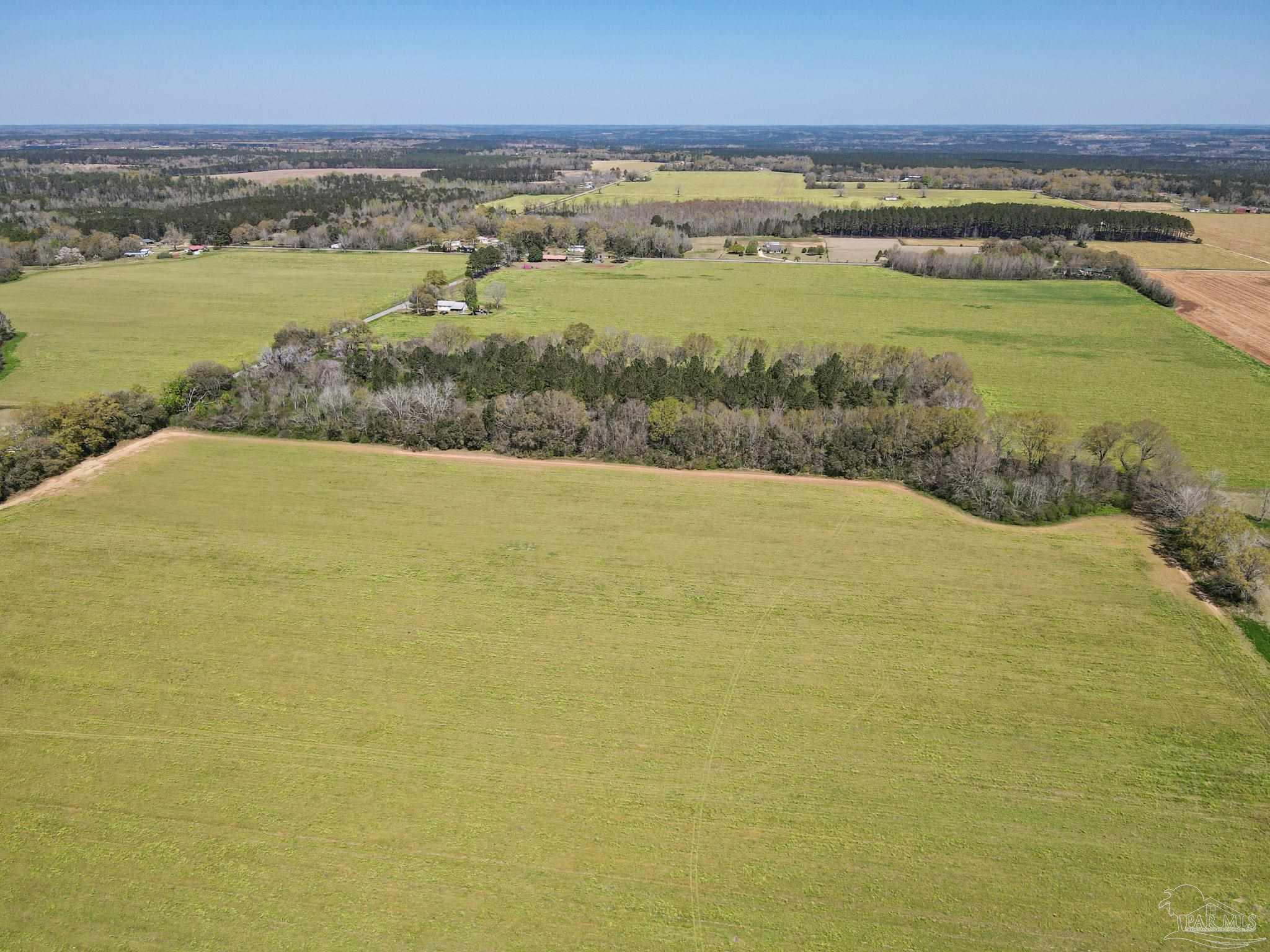 0 Creamer Road Century, FL 32535 - Photo 12 of 16 Gallery Image 12