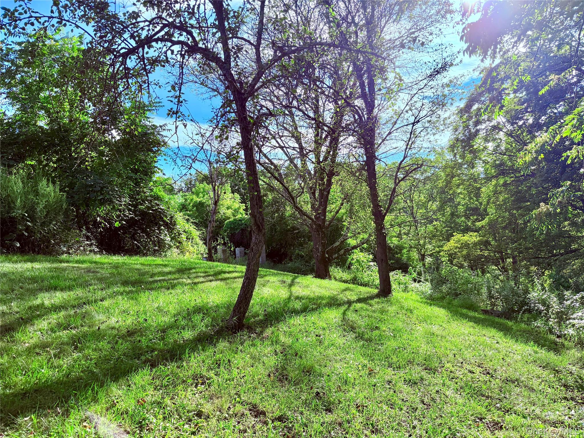 Walnut Street Pawling, NY 12564 - Photo 3 of 10 a view of field with tall trees
