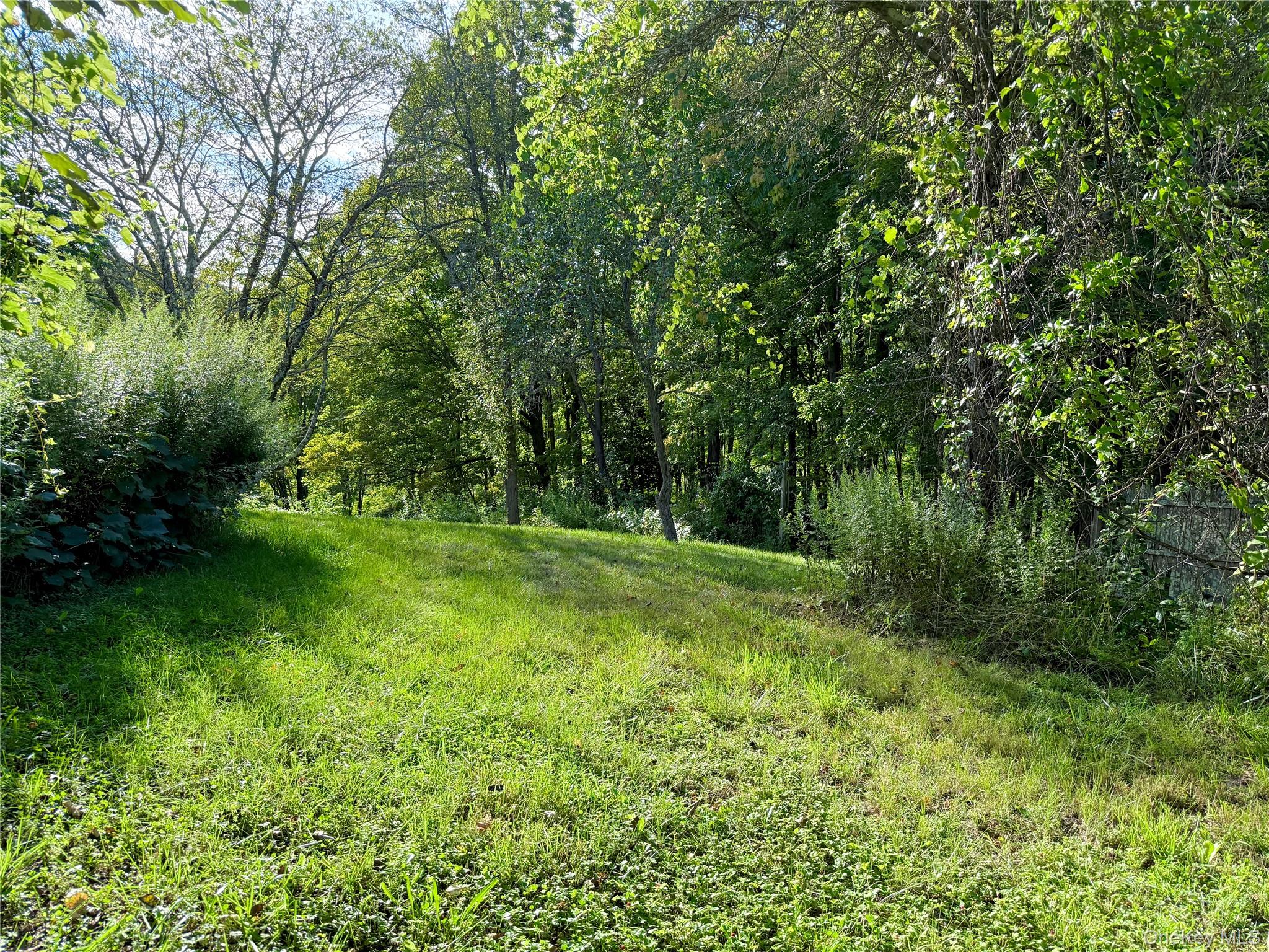 Walnut Street Pawling, NY 12564 - Photo 7 of 10 a view of a field with a tree
