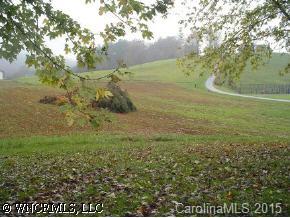 1395 Iron Duff Road Waynesville, NC 28785 - Photo 2 of 7 a view of a field with an trees