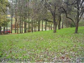 1395 Iron Duff Road Waynesville, NC 28785 - Photo 5 of 7 a view of a park with large trees