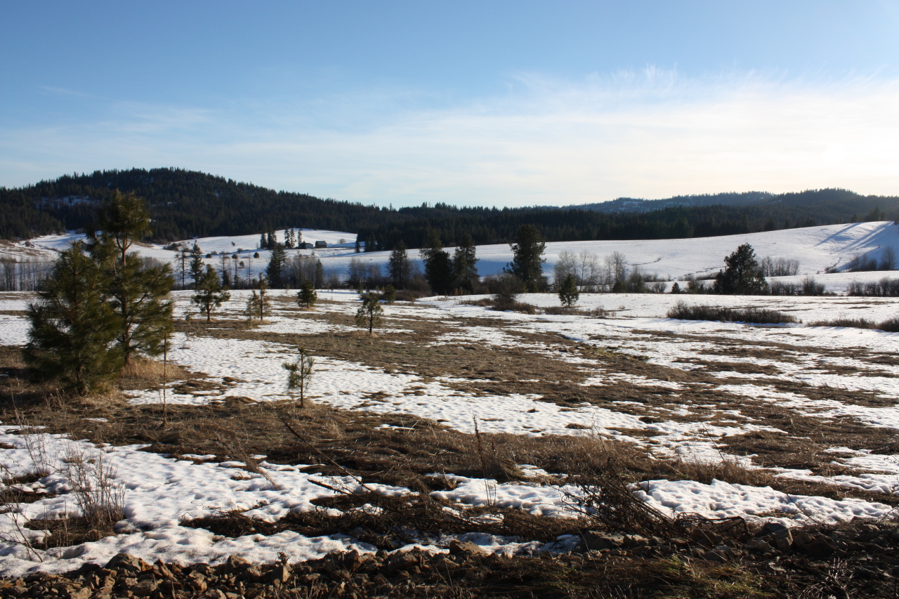 Nna West County Line Road Plummer, ID 83851 - Photo 1 of 1 80 Prime Acres