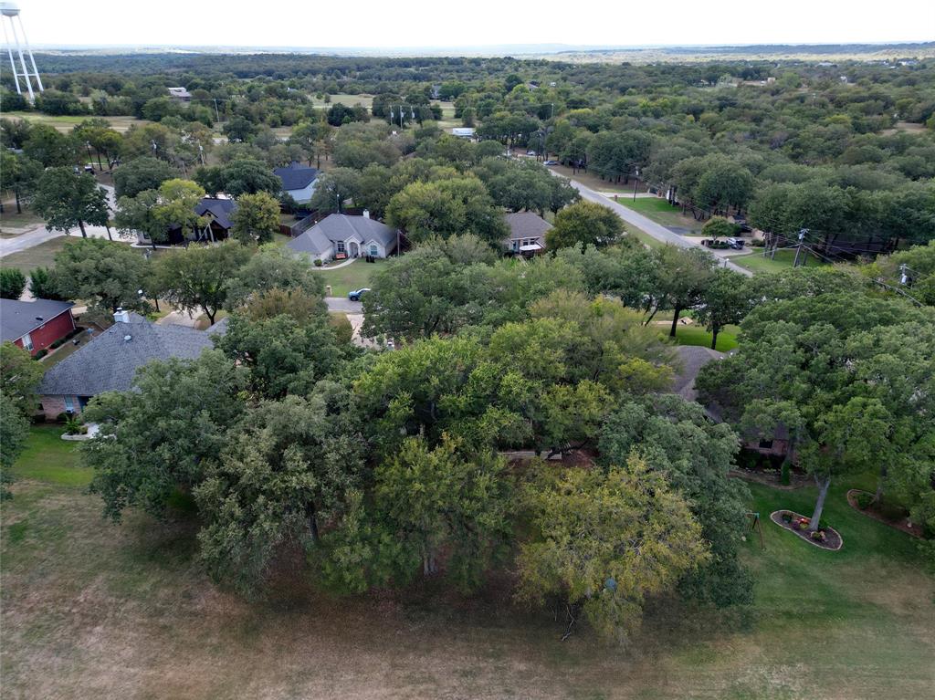424 Half Moon Way Runaway Bay, TX 76426 - Photo 19 of 21 an aerial view of a forest with houses