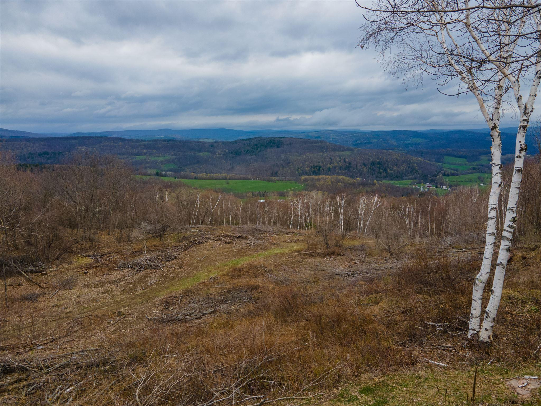 525 Rossman Valley Road Summit, NY 12149 - Photo 70 of 77 Photo 70