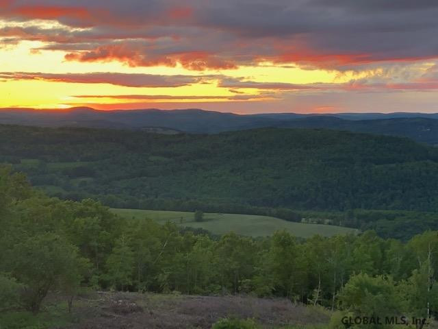 525 Rossman Valley Road Summit, NY 12149 - Photo 73 of 77 Photo 73