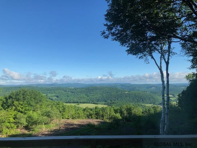 525 Rossman Valley Road Summit, NY 12149 - Photo 74 of 77 Photo 74