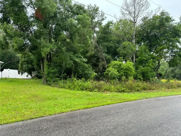 $28,000 | 1 Guava Pass Trail, Ocklawaha, FL 32179