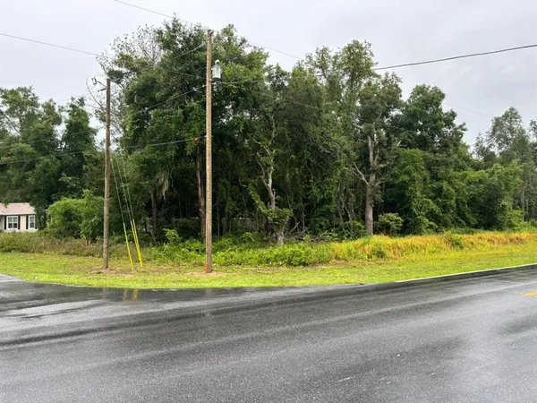 $28,000 | 1 Guava Pass Trail, Ocklawaha, FL 32179