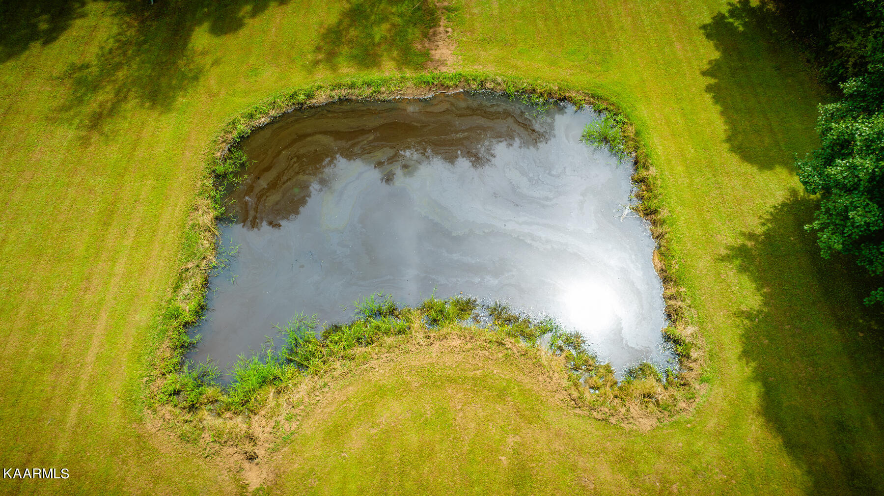 4500 Buffalo Road Oneida, TN 37841 - Photo 47 of 53 Pond