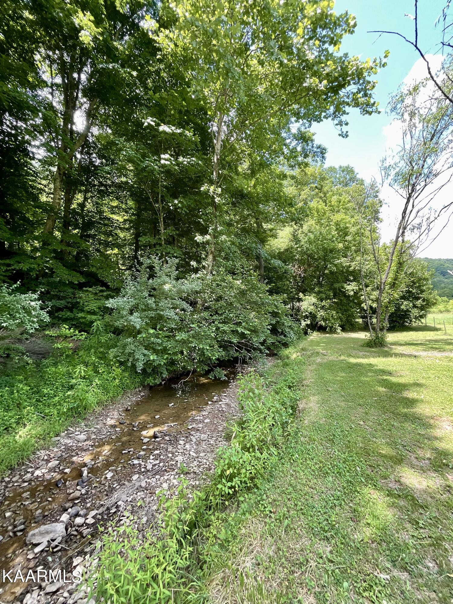 4500 Buffalo Road Oneida, TN 37841 - Photo 48 of 53 Buffalo Creek
