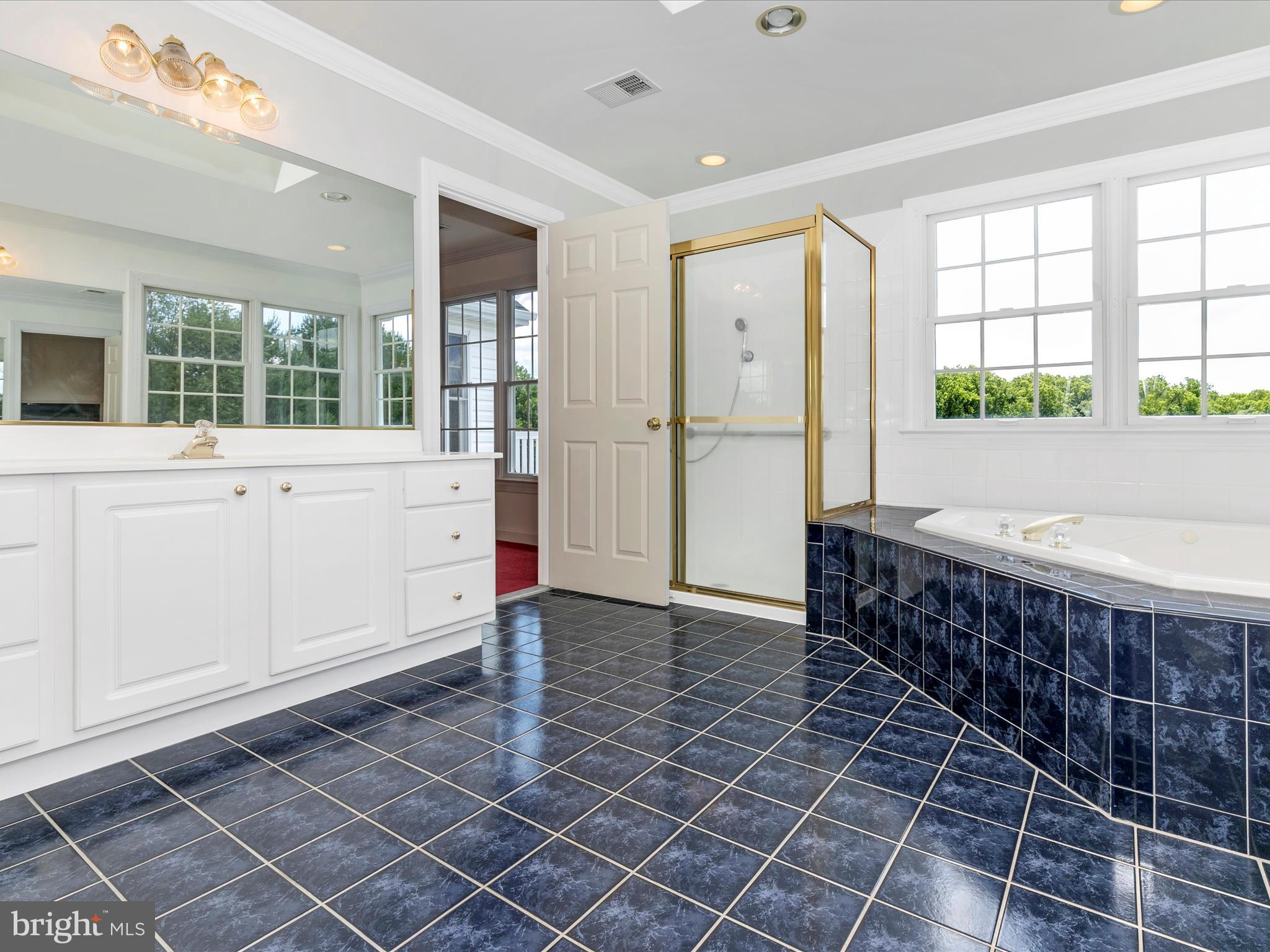3304 Grayling Drive Mount Airy, MD 21771 - Photo 40 of 80 Primary Bathroom with soaking tub