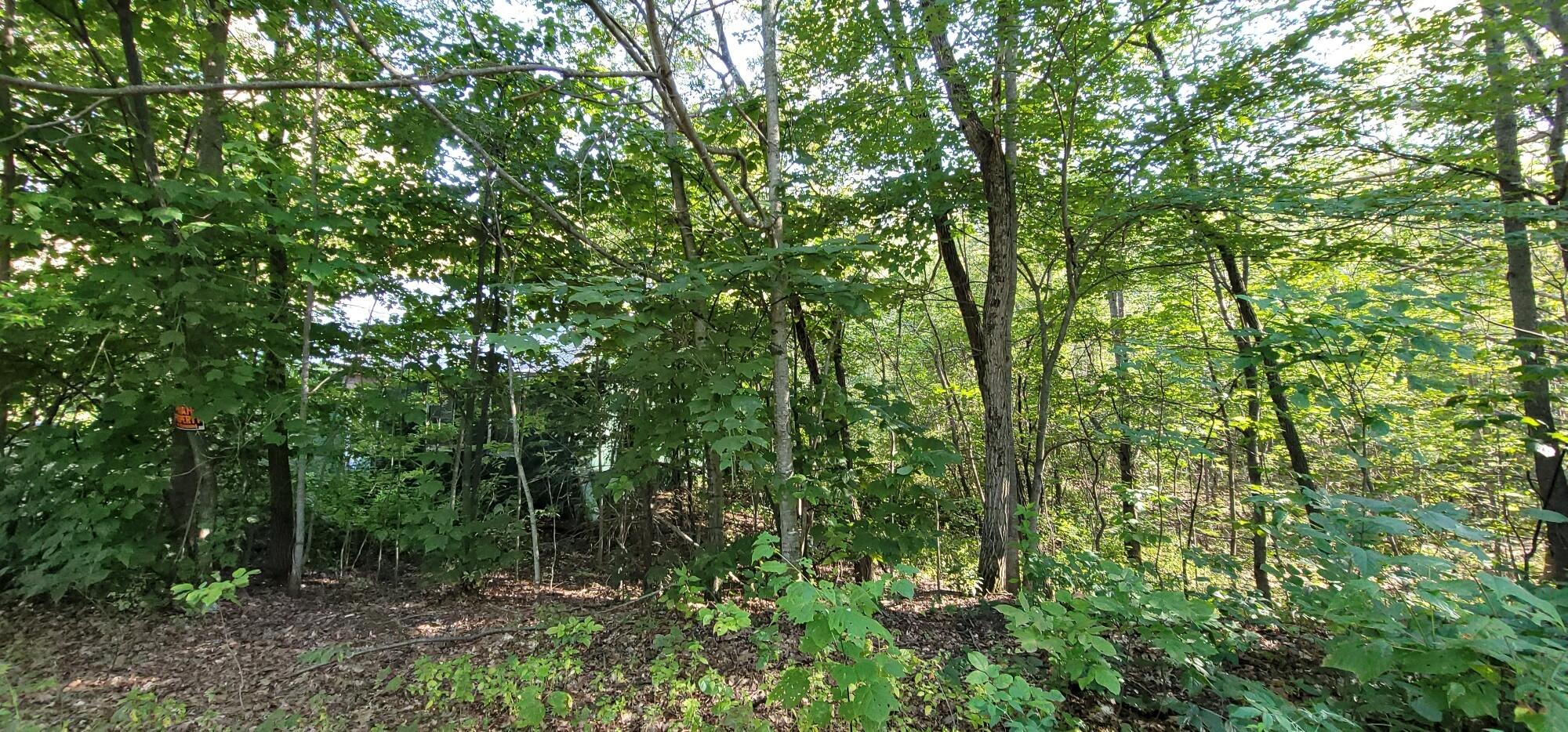592 River Road Canton, ME 04221 - Photo 4 of 14 5