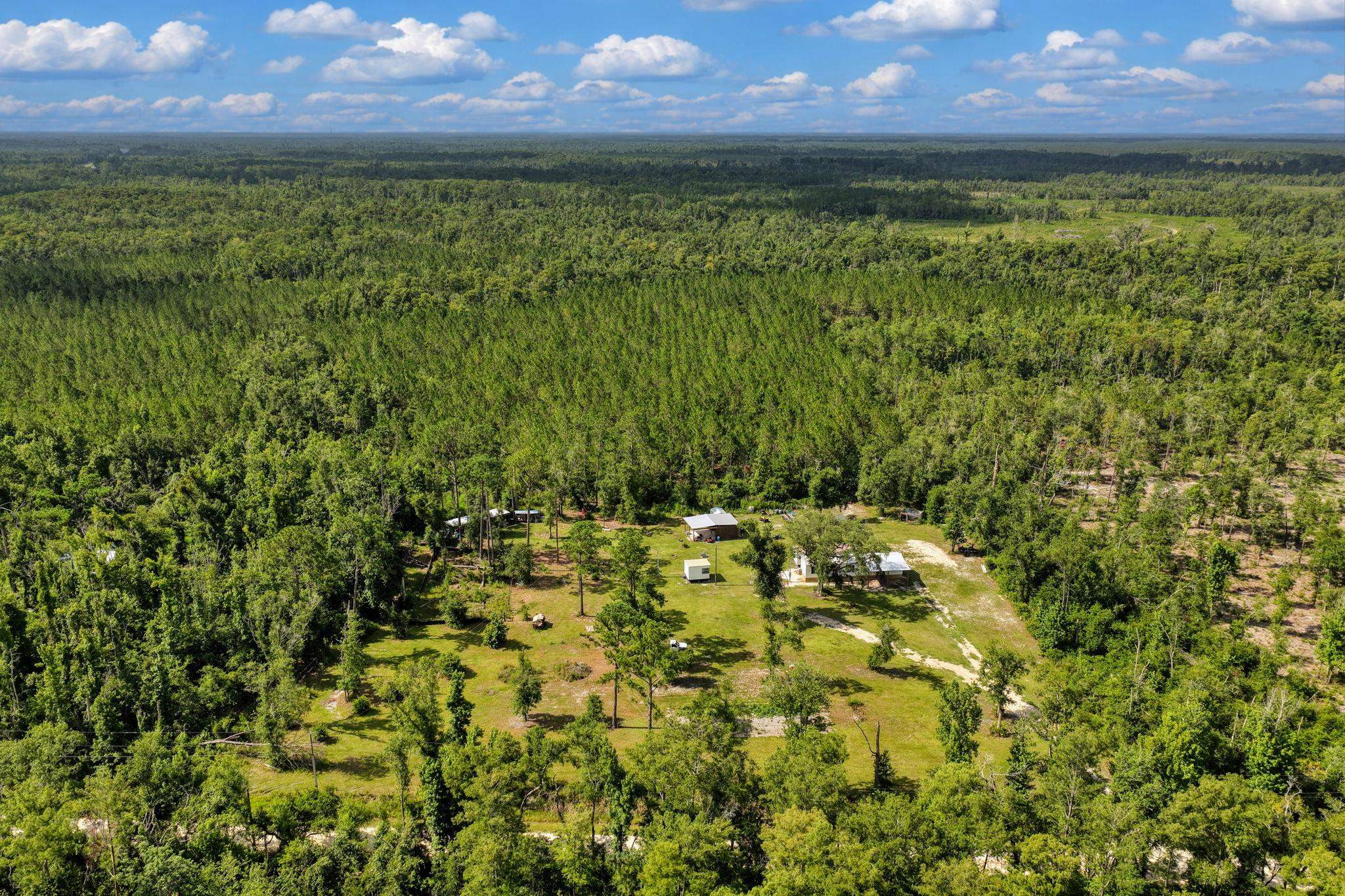7539 Airport Grade Road Perry, FL 32348 - Photo 38 of 39