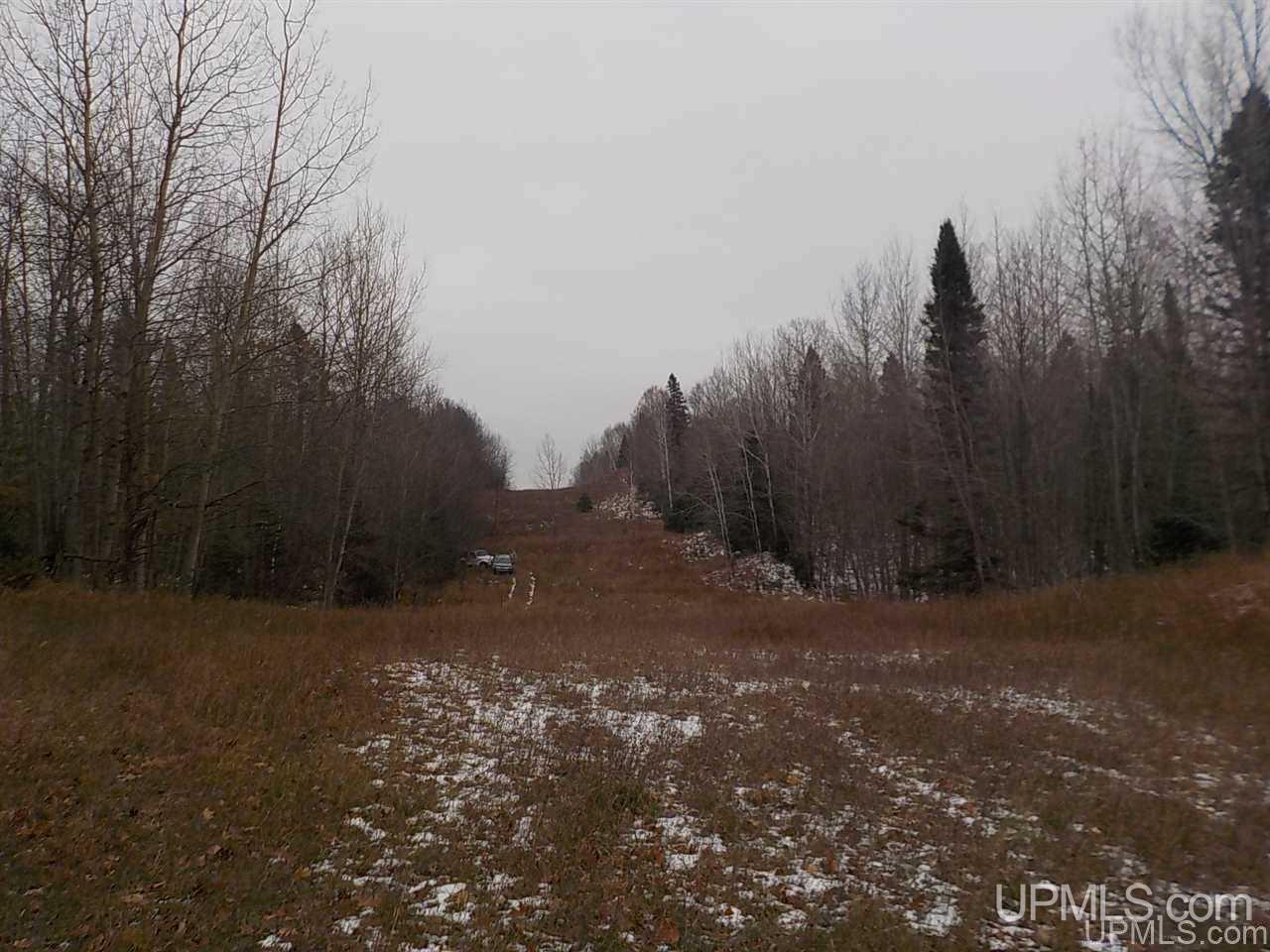 40-ac Lind Road Crystal Falls, MI 49920 - Photo 13 of 24