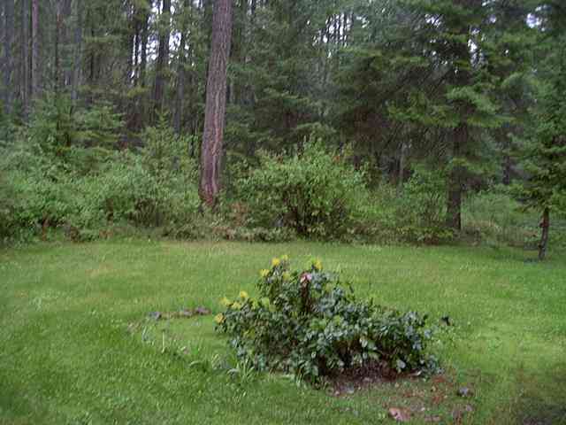 101 South River Road, Unit OFF OLD LECLERC ROAD Cusick, WA 99119 - Photo 6 of 9 Gallery Image 6