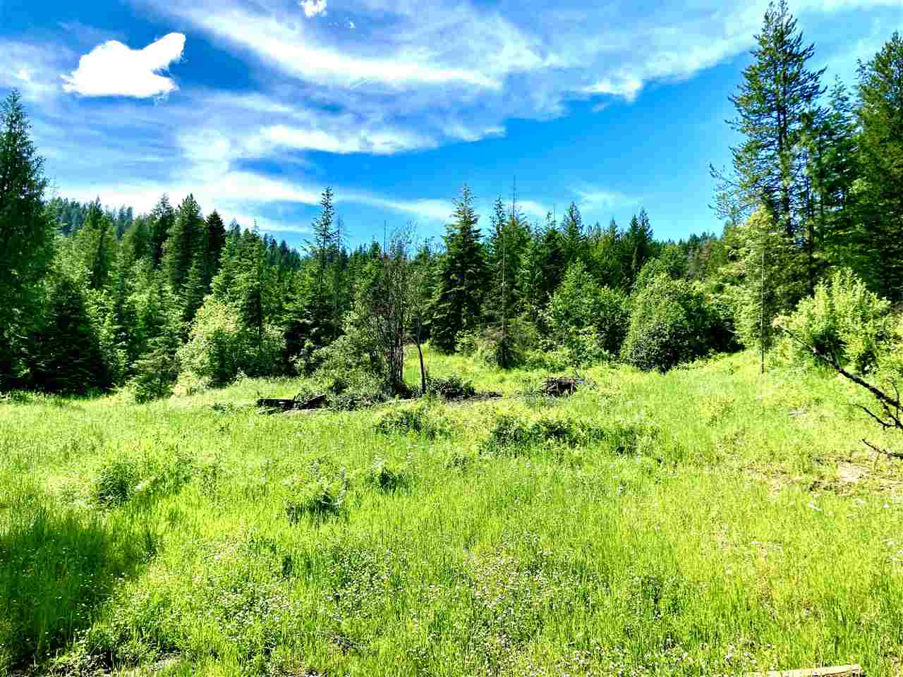 0 Grote Road Clayton, WA 99110 - Photo 11 of 20