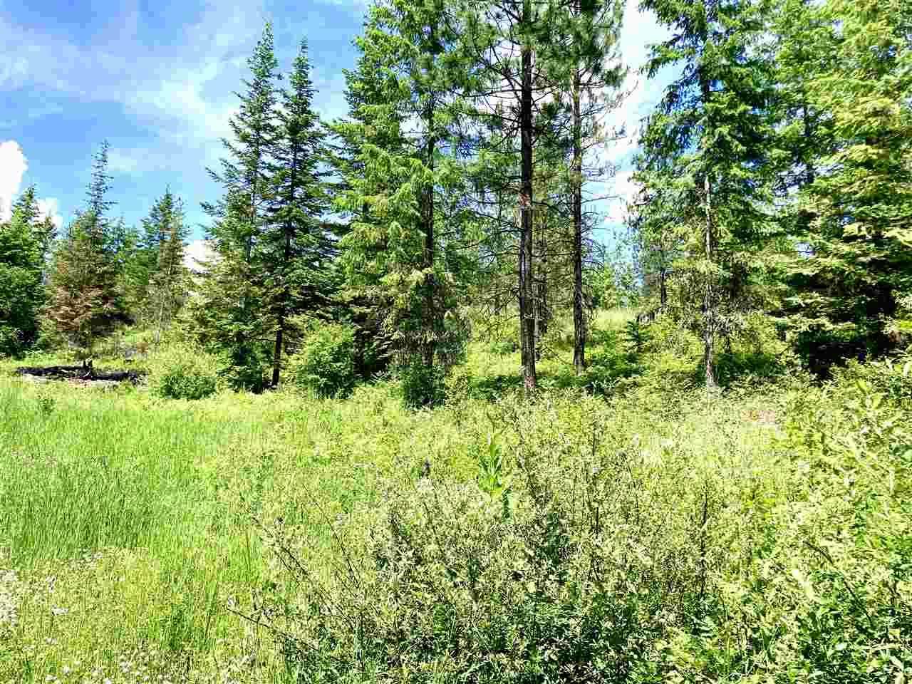 0 Grote Road Clayton, WA 99110 - Photo 14 of 20