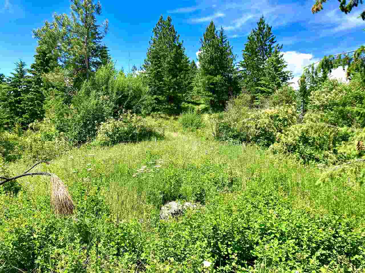 0 Grote Road Clayton, WA 99110 - Photo 19 of 20