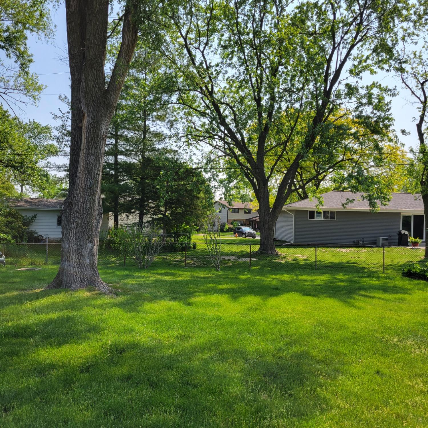 716 South Sherman Street Crown Point, IN 46307 - Photo 18 of 25 a view of backyard with large trees
