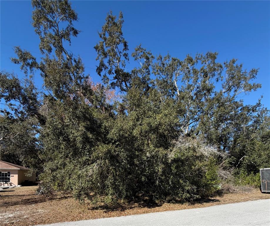 a view of a covered with trees