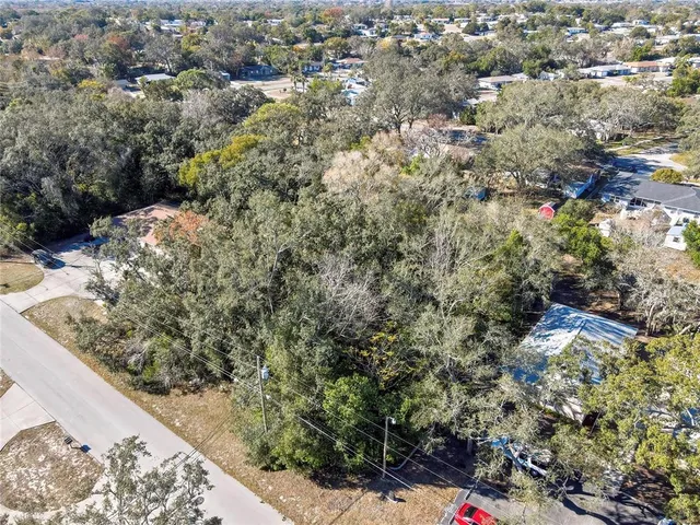 a view of a tree in a yard